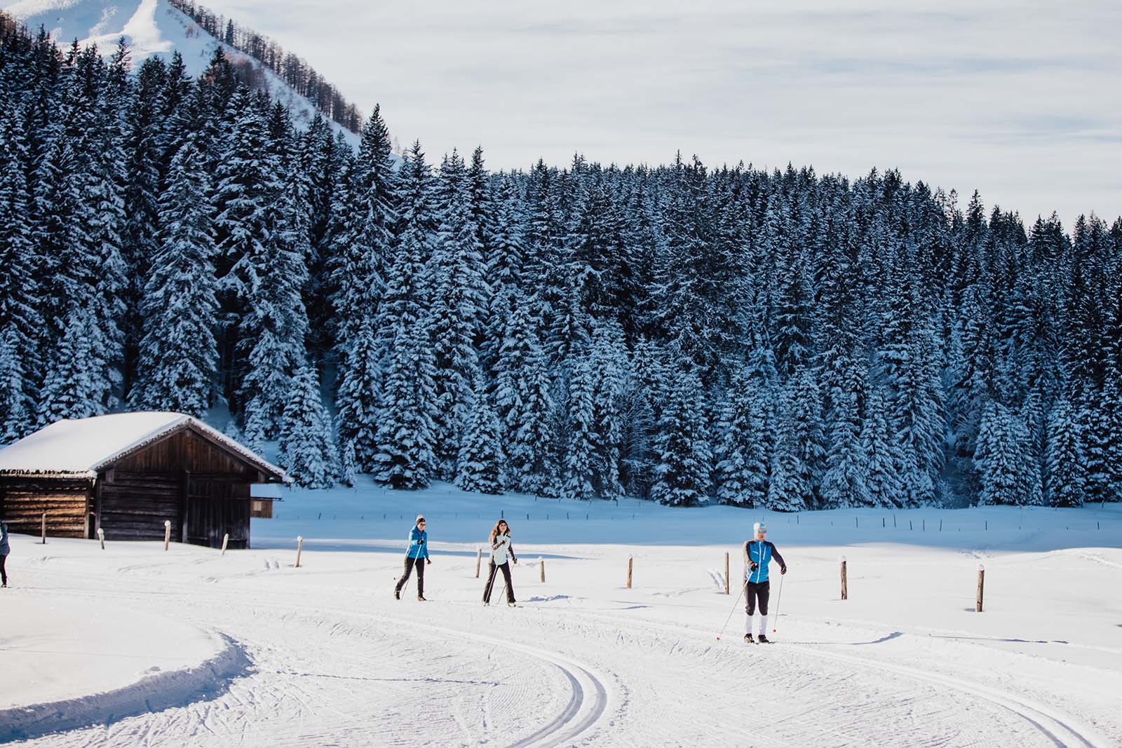 (c) KatrinKerschbaumer 3